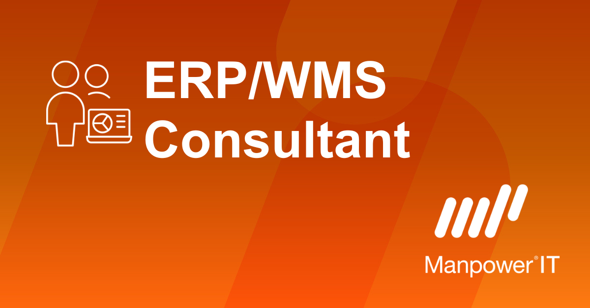 ERP/WMS Consultant