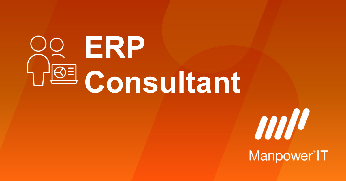 ERP Consultant