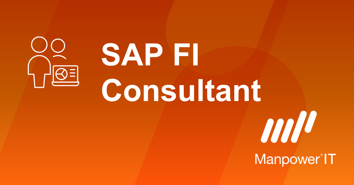 SAP FI CONSULTANT